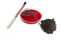 prepGEM Bacteria - DNA extraction kit